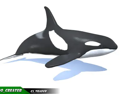 Low-Poly Killer Whale Rigged Animated 3D model Low-poly 3D model