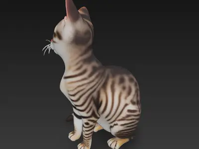 Cat Realistic 3D Model Basic - Low Poly Realistic  Low-poly 3D model
