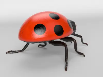 Cartoon Ladybug 3D model