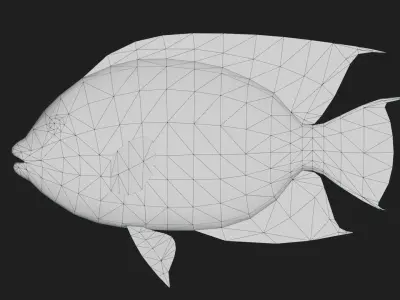 Rockbeauty Low-poly 3D model