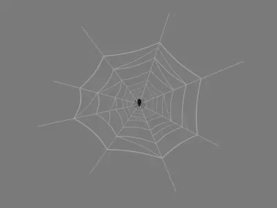 Web And Spider 3D model