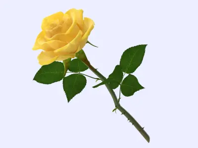 Rose 22 3D model