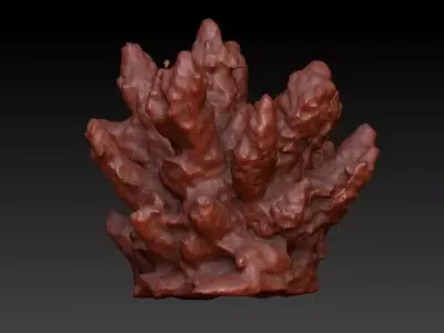 Sea Coral Scan 2 3D model