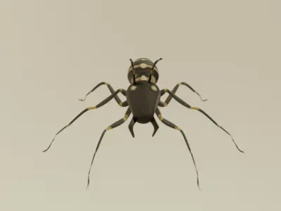 ancient ant 3D model