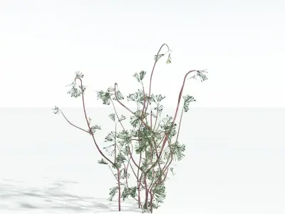 EVERYPlant Baiera LowPoly 1 --14 Models-- Low-poly 3D model