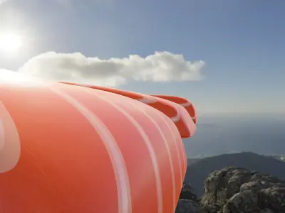 Small Slices of Salmon Meat Free 3D model