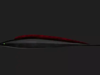 Aba fish Low-poly 3D model