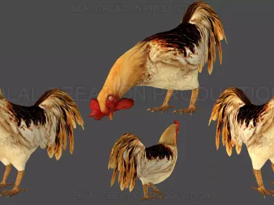 Rooster Animated Low-poly 3D model