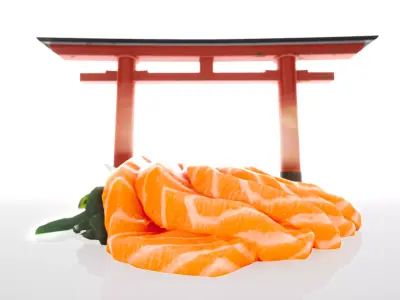 Sashimi realistic 3d model salmon Low-poly 3D model