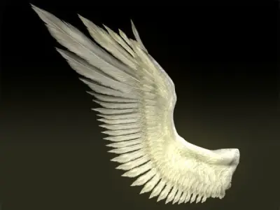 Bird Angel Wing 3D model