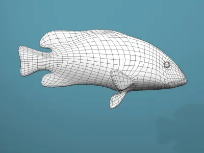 Roving Coral Grouper Low-poly 3D model