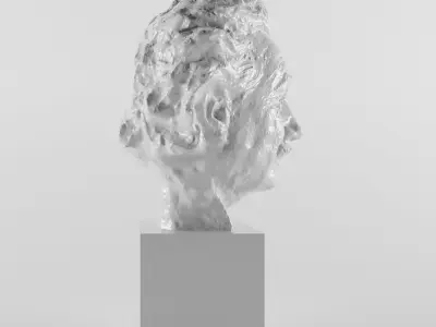 Albert Einstein 3D print model