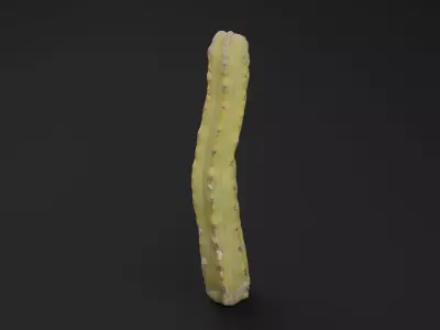 Cactus Plant Low-poly 3D model