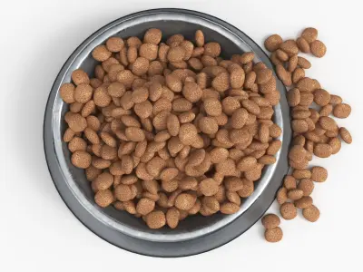 Pet Food Bowl Metal With Food 3D model