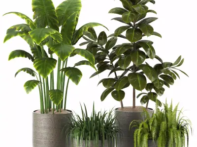 Indoor Plants in Ferm Living Bau Pot Large - Set018 3D model