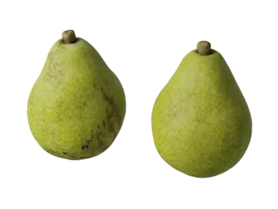  Pear Fruit Food Model 