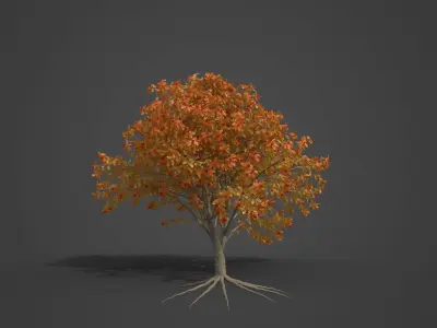 2021 PBR European Mountain Ash Collection - Sorbus Aucuparia  3D model