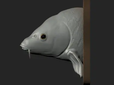 CARP DETAILED TEXTURE TROPHY TAXIDERMY FOR 3D PRINTING Free 3D print model