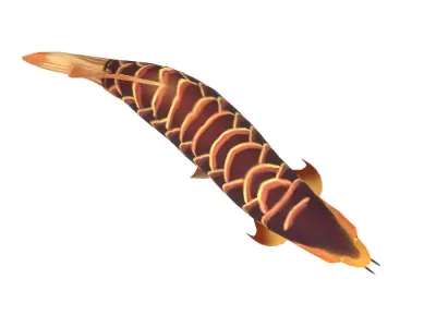 Asian Arowana fish animated Low-poly 3D model