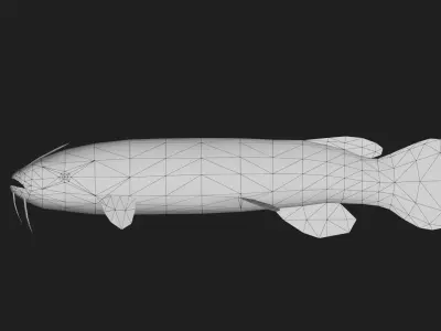 Electriccatfish Low-poly 3D model