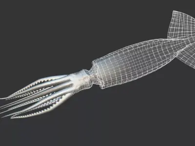 Realistic Flying Squid Animated 3D model