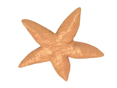 Starfish Rigged 3D model