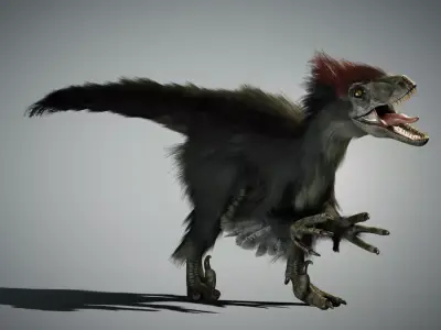 Raptor - Blender Low-poly 3D model