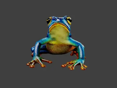 Frog Animal Low-poly 3D model