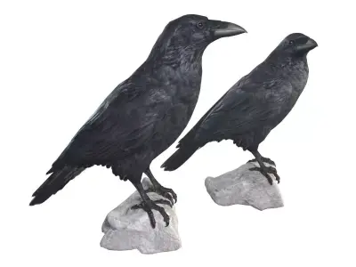 Raven pair of crow statues 3D model