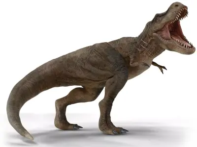 Tyrannosaurus 3D model