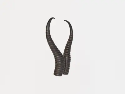 Horn V3 3D model