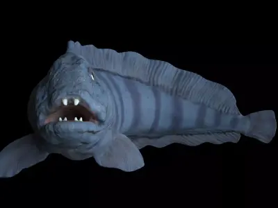 Atlantic Wolf Fish 3D model
