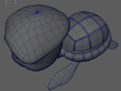 Turtle lowpoly model wearing hat Low-poly 3D model
