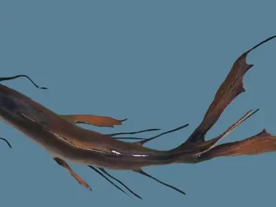 Tropical Fish - Animated - realistic - colorful 3D model