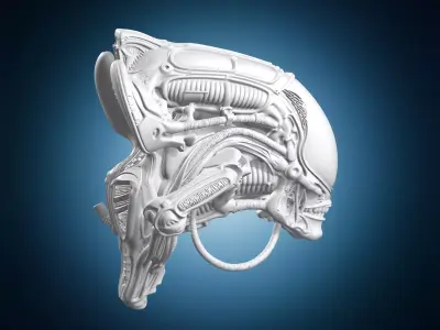 Xenomorph Alien Sculpture 3D print model