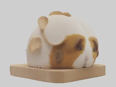 Guinea Pig hiding model Low-poly 3D model