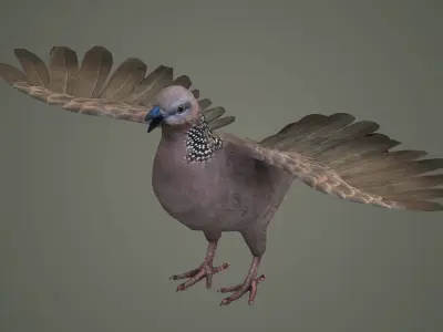 sparrow falcon eagle jay stork pelican swan 3D model