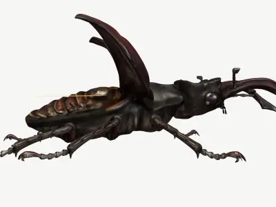 Stag Beetle Low-poly 3D model