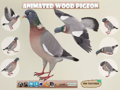 Realistic Animated Wood Pigeon Low-poly 3D model