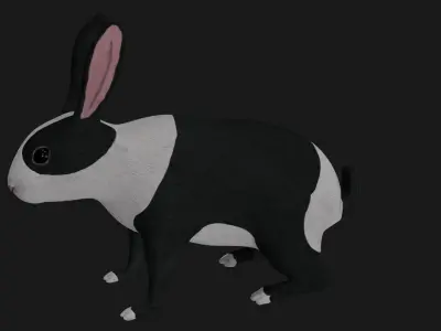 Black and white Rabbit low poly rigged  Low-poly 3D model