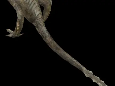 Skullcrawler Rigged - Giant reptile Low-poly 3D model