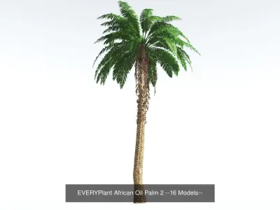 EVERYPlant African Oil Palm Bundle --64 Models-- 3D Model Collection