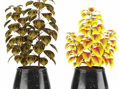 Indoor Plants in Ferm Living Bau Pot Large - Set021 3D model