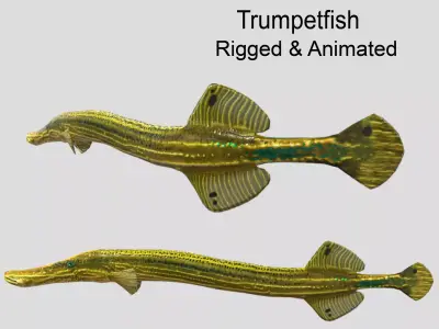 Trumpetfish Low-poly 3D model