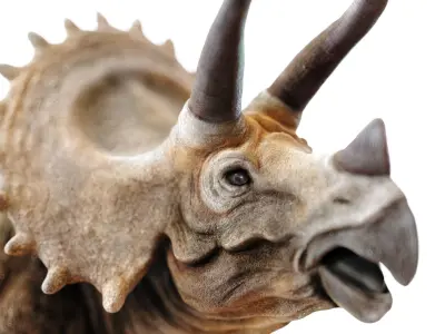 Triceratops dinosaur Low-poly 3D model