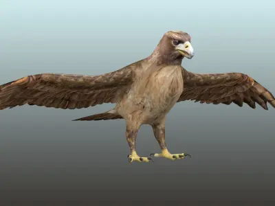 Golden Eagle  Low-poly 3D model