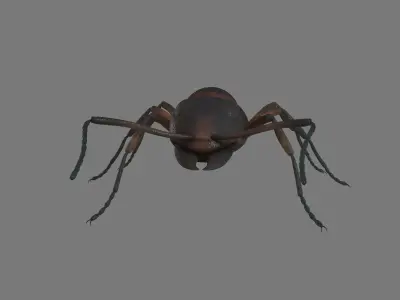 Black Ant Low-poly 3D model