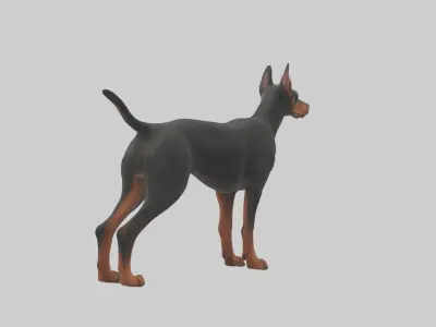 Doberman Pinscher alert model 3D model
