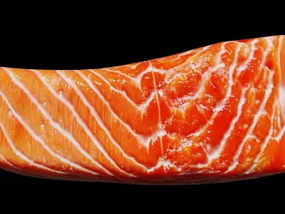 Salmon Fillet Low-poly 3D model
