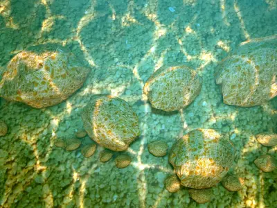 3D stone rock 3D model